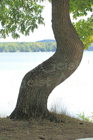 2012-08-20-0008 Duck Lake