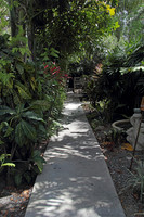 2012-04-06-0254 The Path to Your Sanctuary