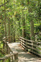 2012-04-09-0108 Corkscrew Swamp Sanctuary Boardwalk #1