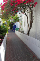 2012-04-06-0019 Key West Walkway