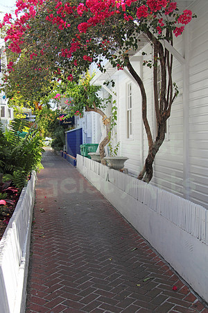 2012-04-06-0019 Key West Walkway