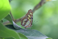 2012-04-07-0118
