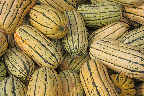 2008-09-27_0056 Delicata Squash