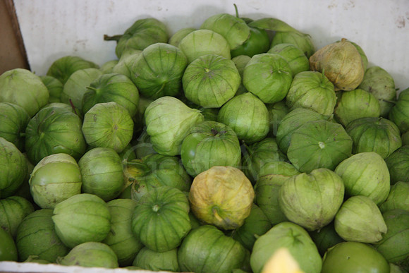 08-08-09_0018 Tomatillos