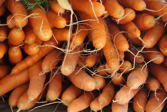 08-08-09_0017 Carrots