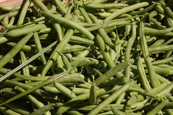 08-08-09_0009 Fresh Green Beans