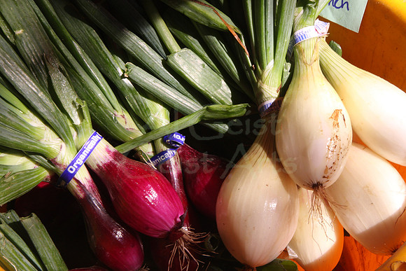 08-08-09_0003. Onions