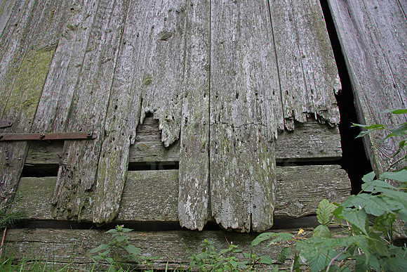 2010-08-14-0049 Weathered Wood #4