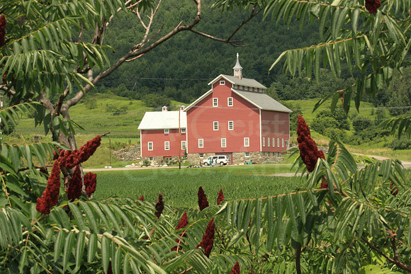 2008-08-01-0002 Barn
