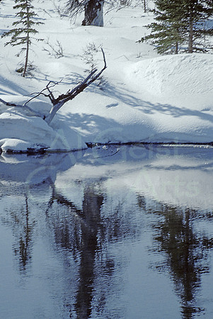 AK72-Beaver Pond2