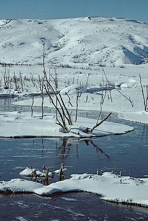 AK12-Gunn Creek