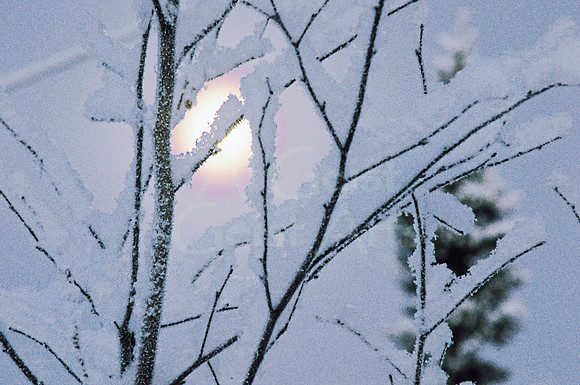 AK25-Ice Fog
