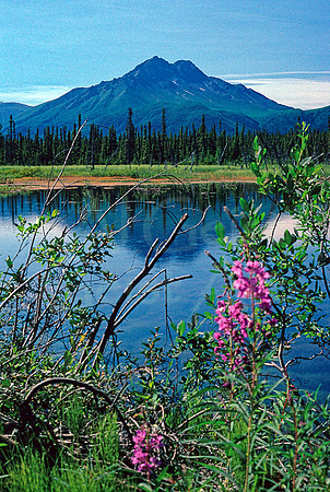 AK19-Pond and Gunsight Mountain