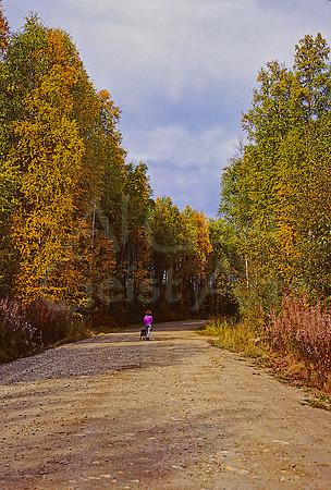 AK83-Fall Walk Birch Hill