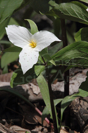 2012-04-22-0099