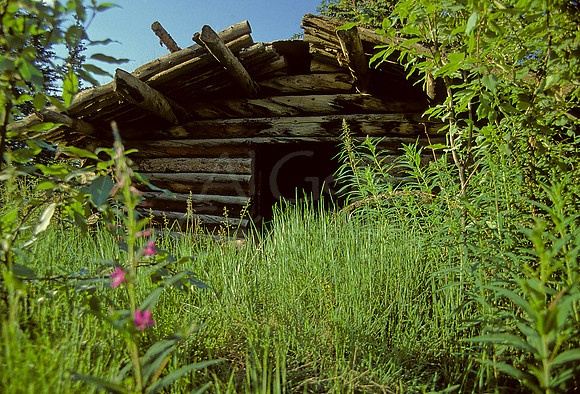 AK76-Old Cabin, Wiseman