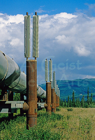 AK257-TransAlaska Pipeline, Brooks Range, Alaska