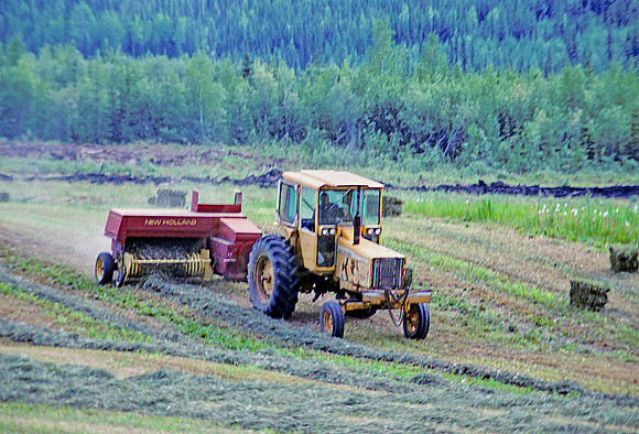 AK134-Bailing Hay, Chena Hot Springs Road, Fairbanks, Alaska