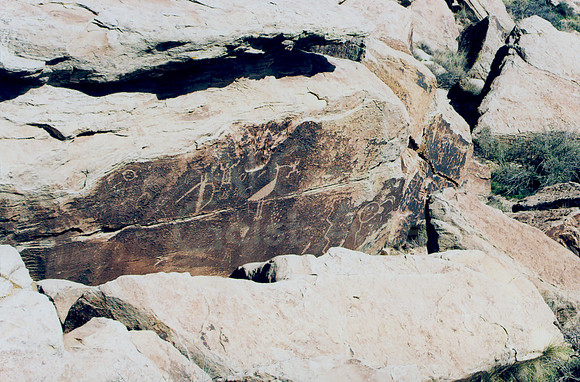 040605-01-0012 Petroglyphs at Petrified National Park
