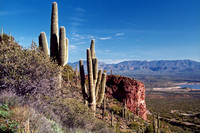 021901-02-0001-Tonto National Monument
