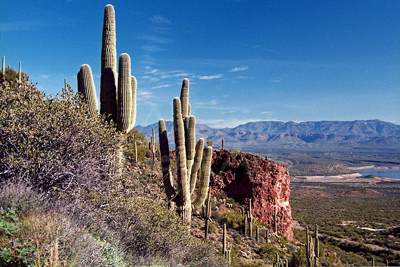 021901-02-0001-Tonto National Monument