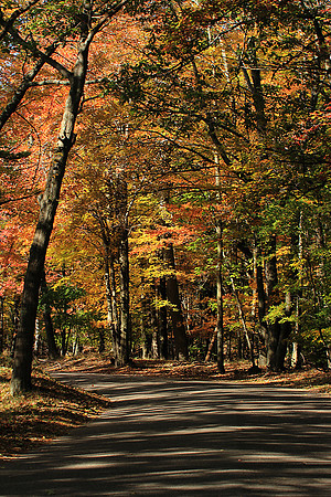 2013-10-28-0006 Fall at Ludington State Park