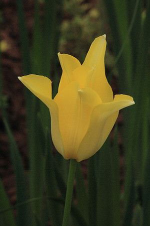 2013-05-27-0043