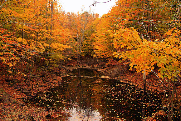 2013-10-25-0020 Fall at Laman's Landing