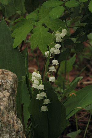 2013-05-27-0032