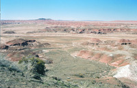 040605-01-0010 Painted Desert in Spring