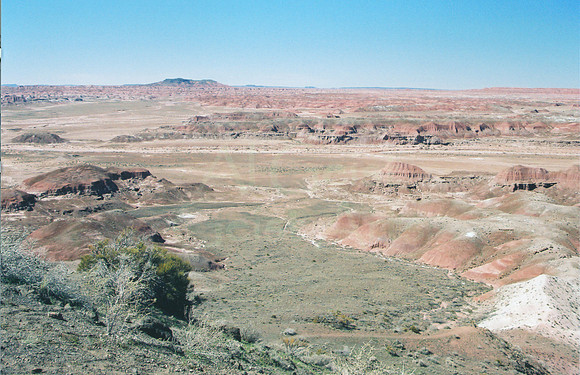 040605-01-0010 Painted Desert in Spring