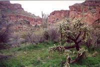 021901-03-0012 Superior, Arizona 1