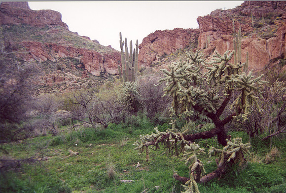021901-03-0012 Superior, Arizona 1