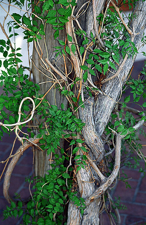 041904-02-Image20