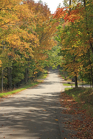 2011-10-07-0003 Fall and Country Roads #1