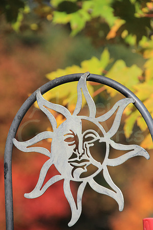 2014-10-21-0001 Sun in Fall
